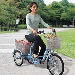 B01gfkktfy アシらくチャーリー 電動三輪車 電動自転車 年間ランキング6年連続受賞
