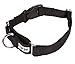 GoGo Pet Products GoGo 3/4-Inch Martingale Dog Collar, Medium, Black
