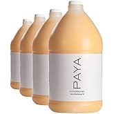 PAYA Conditioner, 4 Gallon Case | Modern luxury with a green conscience