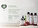 ecoLove - Natural Shampoo for Normal and Oily Hair, Sodium lauryl sulfate Free, Vegan & Cruelty Free Shampoo, Organic Tomato and Beet Extract, No SLS or Parabens, 17.6 oz