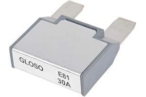 GLOSO Maxi Blade Circuit Breaker 30A AMP, T1 Auto Reset (30A)