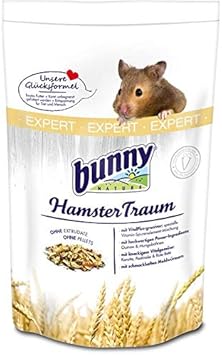 bunny nature hamster dream