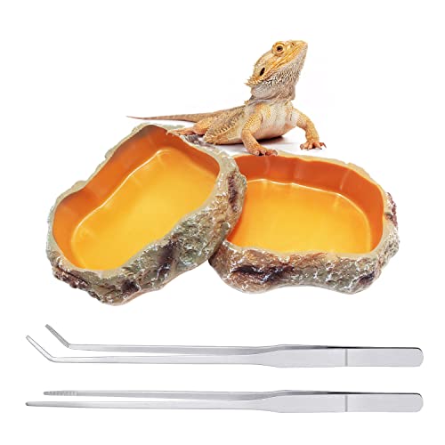 Reptile Growth Feeding Bowl Set