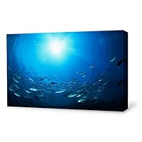 Canvas Wall Art Sea Fish Canvas Prints Home Artwork Decoration for Living Room,Bedroom - 12x18 inches