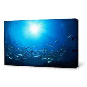 Canvas Wall Art Sea Fish Canvas Prints Home Artwork Decoration for Living Room,Bedroom - 12x18 inches