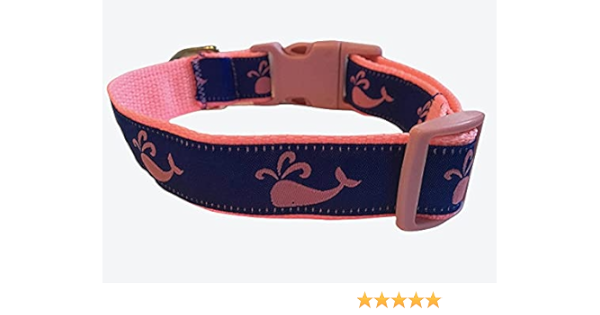 duck dog accessories