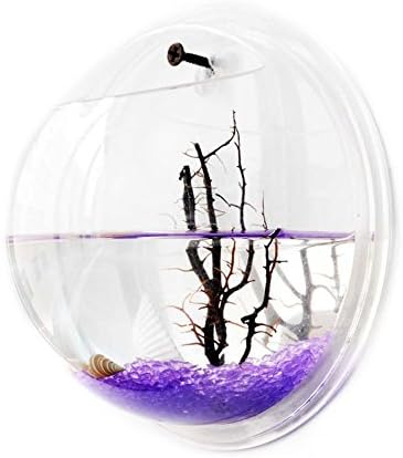 Wilgirl Home Decoration Pot Wall Hanging Mount Bubble Aquarium Bowl Fish Tank (XL)