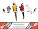 Sweet Feet and Beak Super Shredder Ball - Bird Cage Accessories to Keep Your Bird Busy Foraging for Hidden Treasures - Non-Toxic, Easy to Install Bird Foraging Toys for Medium Sized Birds - 5 Inch