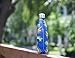 MIRA Vacuum Insulated Travel Water Bottle | Leak-proof Double Walled Stainless Steel Cola Shape Portable Water Bottle | No Sweating, Keeps Your Drink Hot & Cold | 17 Oz (500 ml) (Blue Palm)