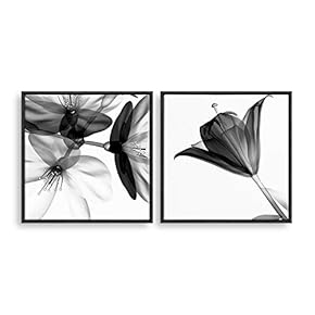 2 Piece Framed Canvas Home Artwork Decoration Transparent Flower Canvas Wall Art for Living Room, Bedroom - 16"x16"x2 Panels