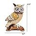Owl Patio Lights | Outdoor Owl Yard Light - Patio Statue | Solar Decorative LED Animals for Garden, Balcony, Deck | Weather Resistant | Garden Gift | Auto On/Off (Tan)
