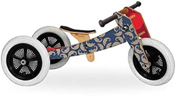 wishbone design bike