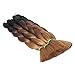 Hairingrid Jumbo Braid Hair Ombre Extension 24inch 6pcs/Lot 100g/pc Synthetic Hair Twist Braiding Hair Crochet Hair for African American Women (R76XM57）