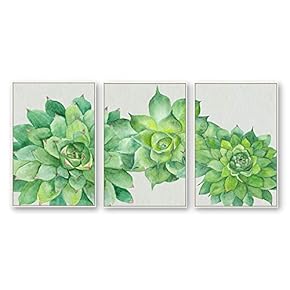 Lush Green Succulent Line - 3 Panel Framed Canvas