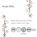 Rael Organic Cotton Cover Pads with Wings - Regular Absorbency, Unscented, Ultra Thin for Women (Regular, 42 Count)