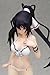 Beach Queens : Infinite Stratos Shinonono Hoki [1/10 Scale PVC]