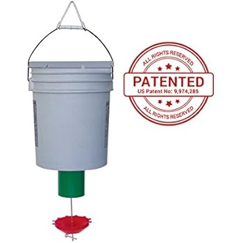 Amazon Com Peck O Matic Chicken Feeder One Demand Bird Feeder