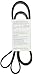 Dayco 5060955DR Serpentine Belt