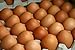 GRASS FED, NON-GMO FED FREE RANGE BROWN & COLORED CHICKEN EGGS - 4 DOZEN