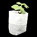BcPowr 400 PCS 4 Size Biodegradable Non-woven Nursery Bags Plant Grow Bags Fabric Seedling Pots Plants Pouch Home Garden Supplythumb 3