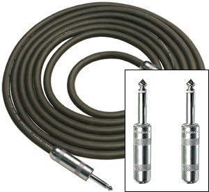 Rapco R12-100 100 foot Speaker Cable, 12 Gauge 1/4 inch to 1/4 inch