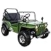 X-Pro 125cc Go Kart Dune Buggy 125cc Jeep Go Kart Mini Jeep Adult Jeep Kart Army Style Gokart (Dark Green)