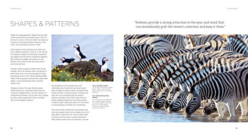 Wildlife Photography: An expert guide - Thumbnail 4