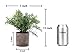 HC STAR Artificial Plant Potted Mini Fake Plants Indoor Pot for Fake Potted Plants Decorative Lifelike Artificial Plants & Flower Green Plants for Farmhouse Office Bathroom Shelf Desk Table Home Decor