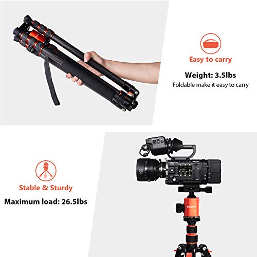 GEEKOTO 79 inches Carbon Fiber Camera Tripod Monopod with 360 Degree