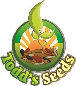 image for 1 Pound - Todd's Seeds Sprouter's Choice Mix: Broccoli, Radish, Arugul