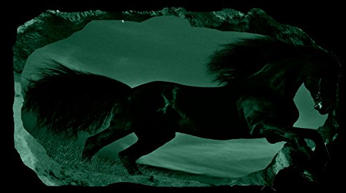 Startonight 3D Mural Wall Art Photo Decor Black Horse Amazing Dual View Surprise Large 32.28 inch By 59.06 inch Wall Mural Wallpaper for Living or Bedroom Animal Collection Wall Art