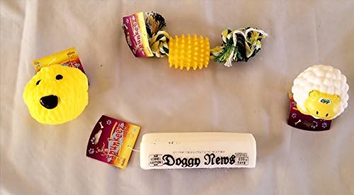 Spunkeez 4 Piece Squeaky Dog Toys Package Newspaper,Sheep, Doggie and Spike Rope