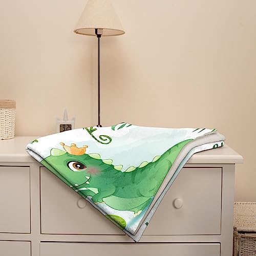 Custom Baby Name Dinosaur Blanket Gift for Girls Boys - Super Soft Flannel Blanket Comfy Cozy Throw Blanket Decor Room Birthday Christmas Sofa Couch-30 x40