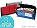 Pendaflex 13 Pocket Check File, Assorted Metallic Colors (89097)
