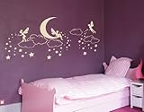 Goodnight Fairies Spreading Dream Stars in the Sky Wall Decal by Style & Apply - Wall Sticker, Vinyl Wall Art, Home Decor, Wall Mural - 2179 - 39in x 19in, Silver
