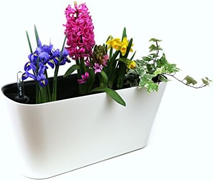 Self Watering Planter by MyEasygro for Indoor and Outdoor | Excellent Pot for Flowers, House Plants, Herbs, Seeds | Water Level Indicator | Create an Urban Garden | 16" x 6" x 7.5" (White)
