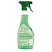 FROSCH Natural Bio Spirit Glass and Multi-Surface Cleaner Spray, 16.9 fl oz (pack of 2)