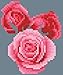 New 5D Diamond Painting Kits for Adults Kids, Awesocrafts Cobblestone Pink Roses, Stone Partial Drill DIY Diamond Art Embroidery Paint by Numbers with Diamonds (Cobblestone)