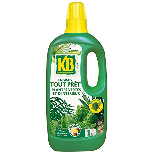 KB ENGRAIS TOUT PRET PLANTES VERTES ET D INTERIEUR 1L KBTPV