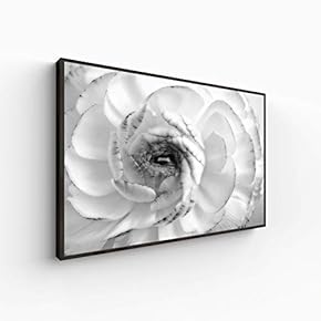 Canvas Wall Art for Living Room, Bedroom Monochrome Plants Framed Canvas Prints for Home Decoration Ready to Hang - 16x24 inches