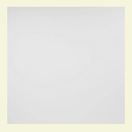 Amazon Com Wicemoon White Ceiling Tile Fast And Easy Installation