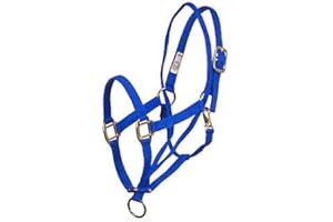 Aime Imports Basic Pull Back Training Halter