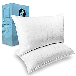 NEIPOTA Bed Pillows for Sleeping Queen Size Set of