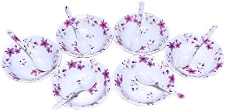 MEHUL 6 Pcs Melamine D-7009 Snack Bowl Set (6 Bowls & 6 Spoon)