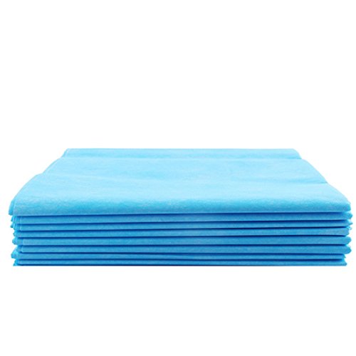 Tinsay Non-Woven Disposable Waterproof Bed Sheet Microblading Accessories Mattress Supplies Tattoo Surgical Tables Use Waterproof Bed Cloth 10Pcs/Lot 78'' x 31''