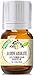 Jasmine Absolute Oil - Premium Grade, 5ml by Healing Solutions Essential Oils