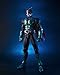 TAMASHII NATIONS Bandai S.I.C. Kamen Rider 2 Action Figure