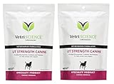 Vetri-Science UT Strength Everyday Canine, 60 Bite-Sized Chews (Set of 2)