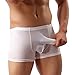 WINDAY Men's Underwear G-String Thong Elastic Smooth Bikini Briefs N01