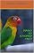 Livro DIÁRIO DO LOVEBIRD FRED